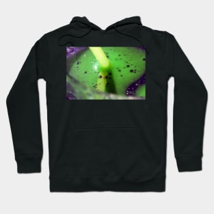 Purple and Green Oil and Water Bubbles Hoodie